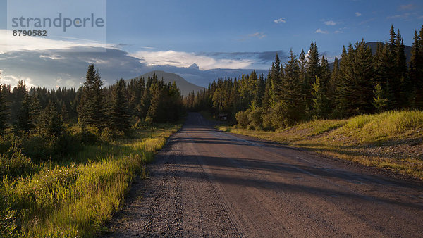 Landschaftlich schön  landschaftlich reizvoll  Beleuchtung  Licht  Landschaft  Straße  Nordamerika  Alberta  Kanada  Stimmung