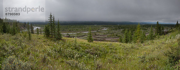Landschaftlich schön landschaftlich reizvoll Wasser Baum Landschaft Wald Nebel Fluss Bach Holz Nordamerika Alberta Kanada