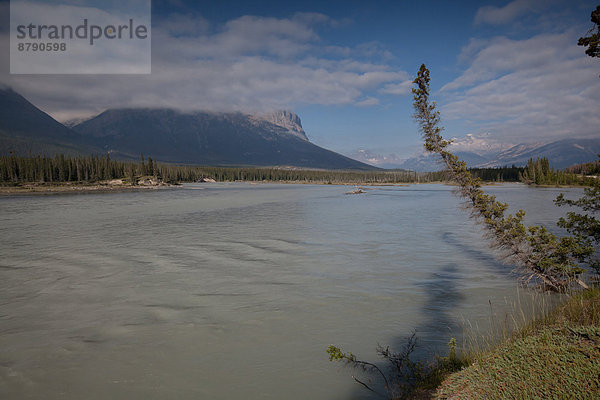 Nationalpark  Landschaftlich schön  landschaftlich reizvoll  Wasser  Berg  Landschaft  Fluss  Nordamerika  Rocky Mountains  Alberta  Banff  Kanada