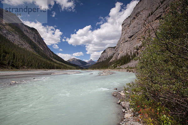 Nationalpark  Landschaftlich schön  landschaftlich reizvoll  Wasser  Berg  Landschaft  Fluss  Nordamerika  Rocky Mountains  Alberta  Banff  Kanada