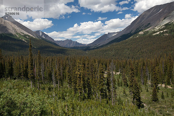 Nationalpark  Landschaftlich schön  landschaftlich reizvoll  Berg  Landschaft  Nordamerika  Rocky Mountains  Alberta  Banff  Kanada