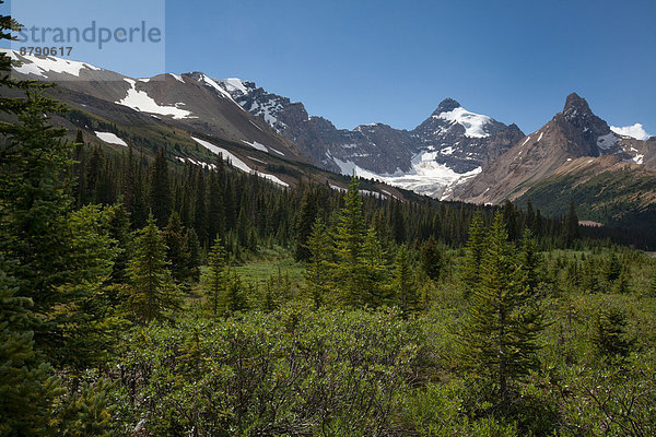 Nationalpark  Landschaftlich schön  landschaftlich reizvoll  Berg  Landschaft  Eis  Gletscher  Nordamerika  Rocky Mountains  Alberta  Banff  Kanada