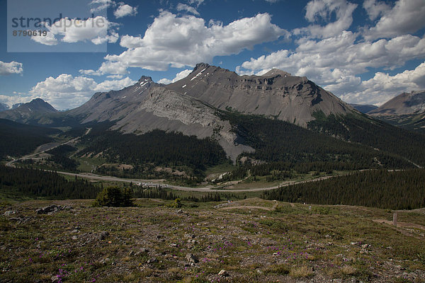 Nationalpark  Landschaftlich schön  landschaftlich reizvoll  Berg  Landschaft  Nordamerika  Rocky Mountains  Alberta  Banff  Kanada