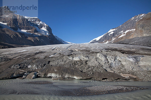 Nationalpark  Landschaftlich schön  landschaftlich reizvoll  Berg  Landschaft  Gletscher  Nordamerika  Rocky Mountains  Jasper Nationalpark  Columbia-Eisfeld  Columbia Icefield  Alberta  Kanada