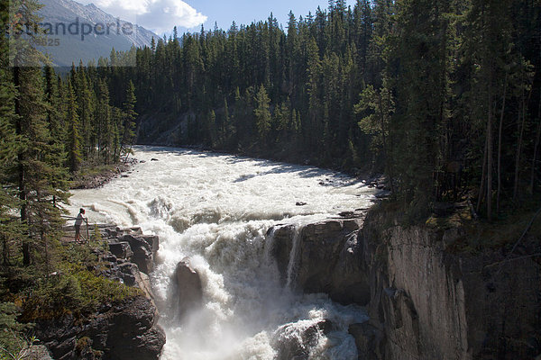 Nationalpark  Landschaftlich schön  landschaftlich reizvoll  Wasser  Landschaft  Fluss  Nordamerika  Wasserfall  Rocky Mountains  Jasper Nationalpark  Alberta  Kanada