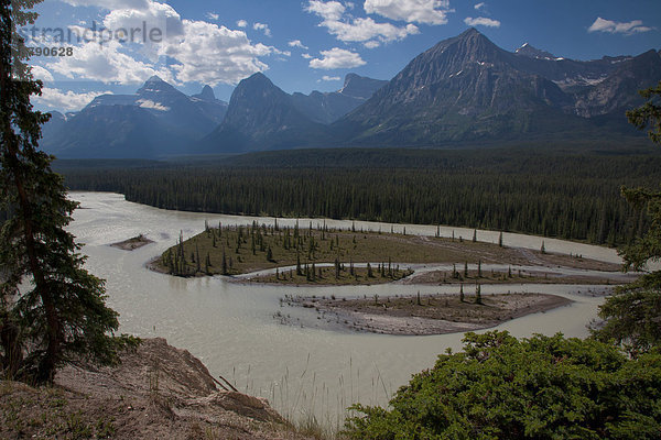 Nationalpark  Landschaftlich schön  landschaftlich reizvoll  Wasser  Berg  Landschaft  Fluss  Aussichtspunkt  Nordamerika  Rocky Mountains  Jasper Nationalpark  Alberta  Kanada