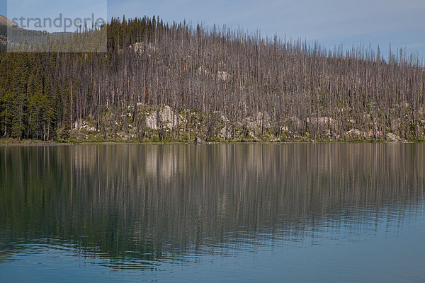 Nationalpark  Landschaftlich schön  landschaftlich reizvoll  Wasser  Berg  Landschaft  Spiegelung  See  Nordamerika  Jasper Nationalpark  Alberta  Kanada