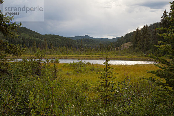 Nationalpark  Landschaftlich schön  landschaftlich reizvoll  Berg  Landschaft  Nordamerika  Jasper Nationalpark  Alberta  Kanada  Moor