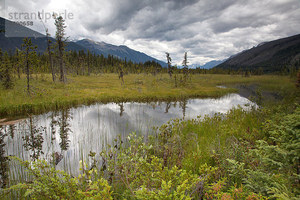 Landschaftlich schön  landschaftlich reizvoll  Wasser  Landschaft  Spiegelung  See  Nordamerika  Sumpf  Rocky Mountains  Kanada  Moor