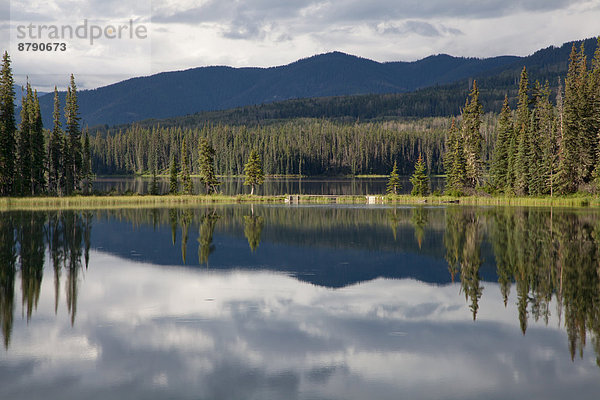 Landschaftlich schön landschaftlich reizvoll Wasser Landschaft Spiegelung Wald See Holz Nordamerika Alberta Kanada