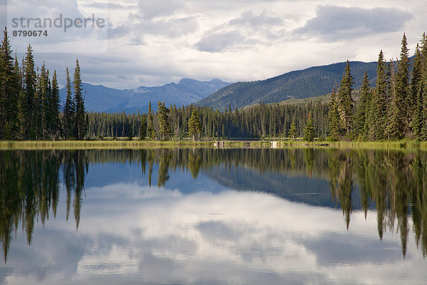 Landschaftlich schön landschaftlich reizvoll Wasser Landschaft Spiegelung Wald See Holz Nordamerika Alberta Kanada