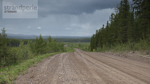 Landschaftlich schön landschaftlich reizvoll Landschaft Wald Holz Nordamerika Alberta Kanada
