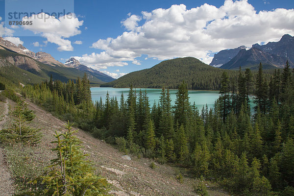 Nationalpark  Landschaftlich schön  landschaftlich reizvoll  Wasser  Berg  Landschaft  See  Nordamerika  Rocky Mountains  Alberta  Banff  Kanada