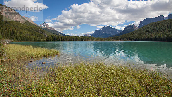 Nationalpark  Landschaftlich schön  landschaftlich reizvoll  Wasser  Berg  Landschaft  See  Nordamerika  Rocky Mountains  Alberta  Banff  Kanada