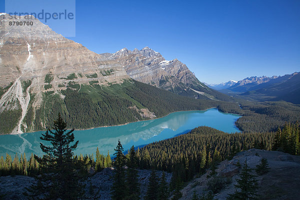 Nationalpark  Landschaftlich schön  landschaftlich reizvoll  Wasser  Berg  Landschaft  See  Nordamerika  Rocky Mountains  Peyto Lake  Alberta  Banff  Kanada