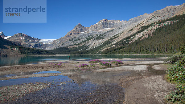 Nationalpark  Landschaftlich schön  landschaftlich reizvoll  Wasser  Berg  Landschaft  Spiegelung  See  Nordamerika  Rocky Mountains  Alberta  Banff  Kanada  Fischer