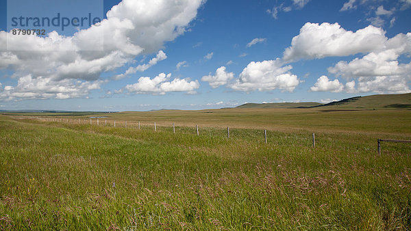 Landschaftlich schön  landschaftlich reizvoll  Landschaft  Feld  Nordamerika  Alberta  Kanada  Prärie