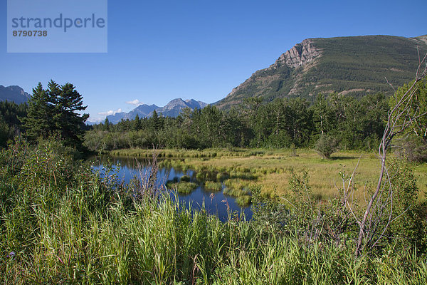 Landschaftlich schön  landschaftlich reizvoll  Wasser  Berg  Landschaft  Nordamerika  Sumpf  Rocky Mountains  Alberta  Kanada