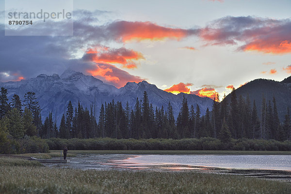 Nationalpark  Hochformat  Berg  Morgendämmerung  See  Landschaftlich schön  landschaftlich reizvoll  Natur  Nordamerika  Rocky Mountains  Alberta  Kanada