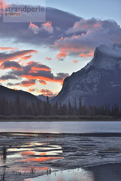 Nationalpark  Hochformat  Berg  Spiegelung  Morgendämmerung  See  Landschaftlich schön  landschaftlich reizvoll  Natur  Nordamerika  UNESCO-Welterbe  Rocky Mountains  Mount Rundle  Alberta  Banff  Kanada