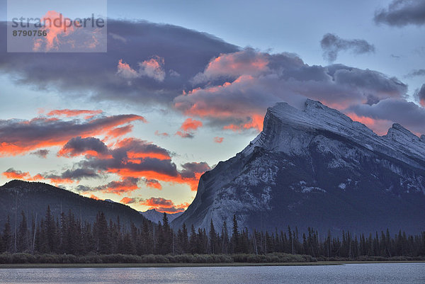 Nationalpark  Hochformat  Berg  niemand  Morgendämmerung  See  Landschaftlich schön  landschaftlich reizvoll  Natur  Herbst  Nordamerika  UNESCO-Welterbe  Rocky Mountains  Mount Rundle  Alberta  Banff  Kanada
