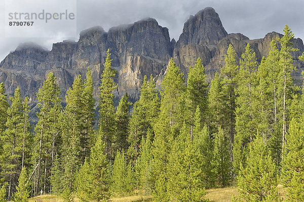Nationalpark  Berg  niemand  Landschaftlich schön  landschaftlich reizvoll  Natur  Nordamerika  UNESCO-Welterbe  Rocky Mountains  Alberta  Kanada