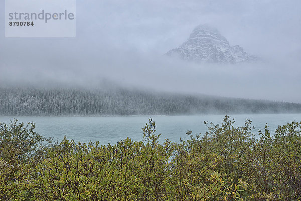 Nationalpark  Berg  Landschaft  niemand  See  Landschaftlich schön  landschaftlich reizvoll  Natur  Herbst  Nordamerika  UNESCO-Welterbe  Rocky Mountains  Columbia-Eisfeld  Columbia Icefield  Alberta  Banff  Kanada