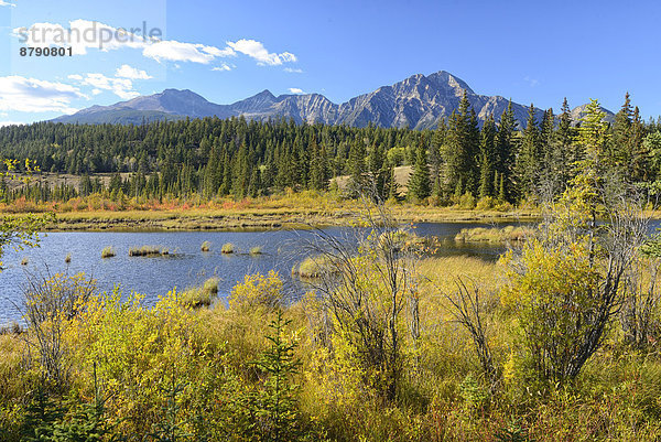 Landschaftlich schön  landschaftlich reizvoll  See  Herbst  Nordamerika  UNESCO-Welterbe  Rocky Mountains  Alberta  Kanada  Laub