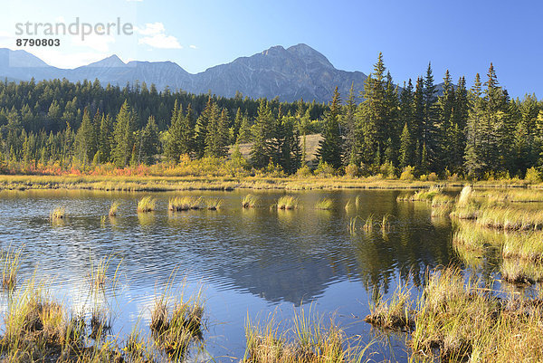 Landschaftlich schön  landschaftlich reizvoll  Spiegelung  See  Nordamerika  UNESCO-Welterbe  Rocky Mountains  Alberta  Kanada