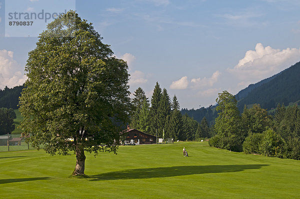 Europa  Boden  Fußboden  Fußböden  Alpen  Golfsport  Golf  Bayern  Deutschland  Oberstdorf