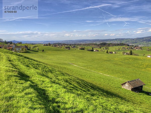 Europa Hügel Bauernhof Hof Höfe Scheune Wiese Schweiz Kanton Zürich