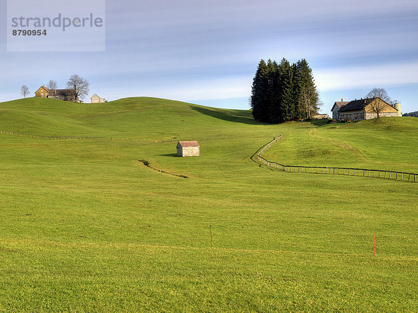 Europa  Hügel  grün  Bauernhof  Hof  Höfe  Wiese  Tanne  Hecke  Schweiz