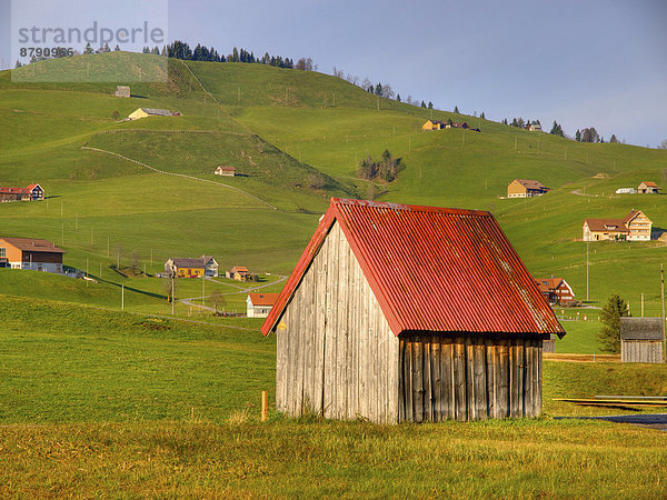 Ländliches Motiv  ländliche Motive  Europa  Hügel  grün  Bauernhof  Hof  Höfe  rot  Wiese  Hecke  Schweiz