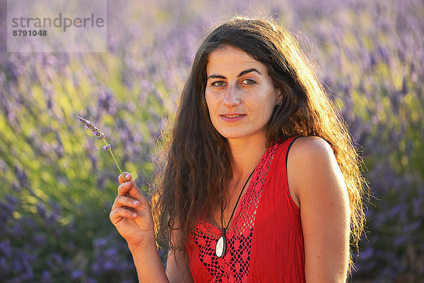 Frankreich  Europa  Frau  Blume  blühen  französisch  gehen  Sommer  Hut  Natur  braunhaarig  Feld  1  Provence - Alpes-Cote d Azur  20  Mädchen  Lavendel  Vaucluse