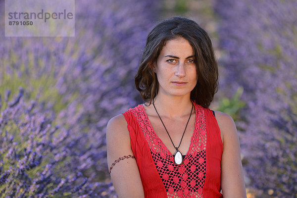 Portrait  Frankreich  Europa  Frau  Blume  blühen  französisch  Sommer  Natur  braunhaarig  Feld  1  Provence - Alpes-Cote d Azur  20  Mädchen  Lavendel  Vaucluse