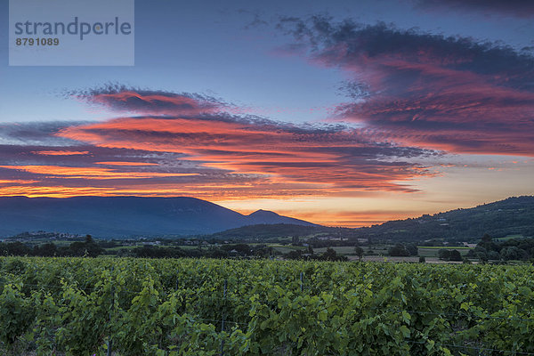 Frankreich  Europa  Wolke  Sonnenaufgang  rot  Provence - Alpes-Cote d Azur  Vaucluse