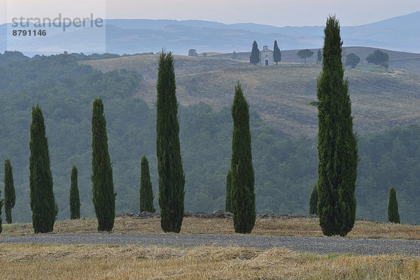 Europa  Ländliches Motiv  ländliche Motive  Morgen  Baum  Landschaft  Dunst  Tal  Nebel  früh  Hügel  Italienisch  Italien  Stimmung  Toskana