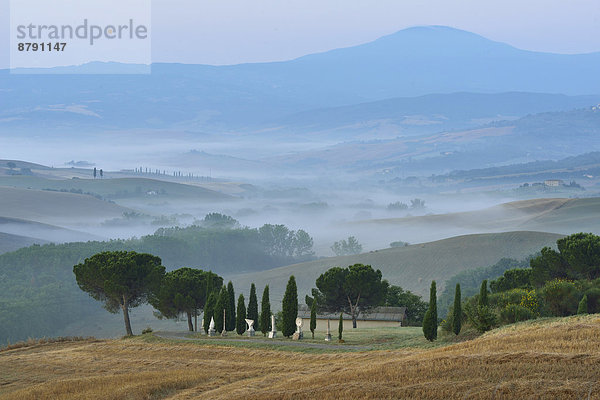 Europa  Ländliches Motiv  ländliche Motive  Morgen  Baum  Landschaft  Dunst  Tal  Nebel  früh  Hügel  Italienisch  Italien  Stimmung  Toskana
