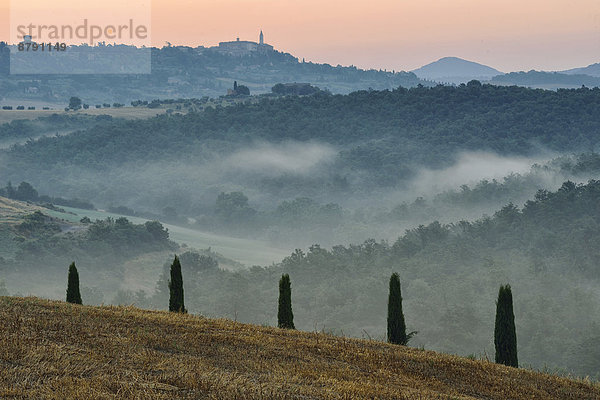 Europa  Ländliches Motiv  ländliche Motive  Morgen  Baum  Landschaft  Dunst  Tal  Nebel  früh  Hügel  Italienisch  Italien  Stimmung  Pienza  Toskana