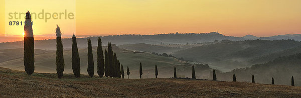 Panorama  Europa  Morgen  Landschaft  Sonnenaufgang  Italienisch  Italien  Pienza  Toskana