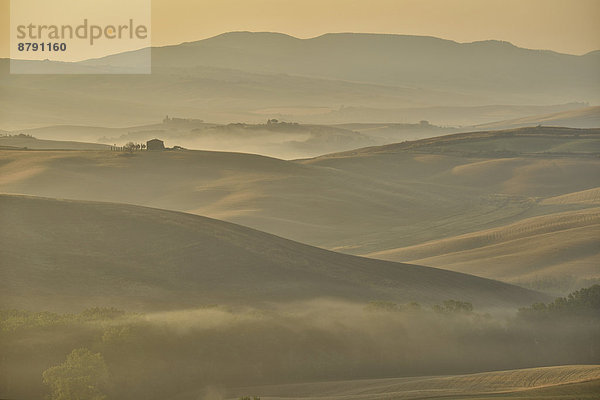 Europa  Ländliches Motiv  ländliche Motive  Morgen  Baum  Landschaft  Dunst  Tal  Nebel  Aussichtspunkt  früh  Hügel  Ansicht  Italienisch  Italien  Stimmung  Toskana