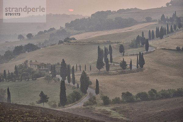 Landschaftlich schön  landschaftlich reizvoll  Europa  Morgen  Landschaft  Sonnenaufgang  Dunst  Landwirtschaft  Fernverkehrsstraße  Italienisch  Italien  Toskana