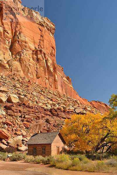 Vereinigte Staaten von Amerika USA Nationalpark Felsbrocken Hochformat Blockhaus Amerika Wohnhaus Steilküste Geschichte Schule (Einrichtung) Kabine Colorado Plateau Laub Utah