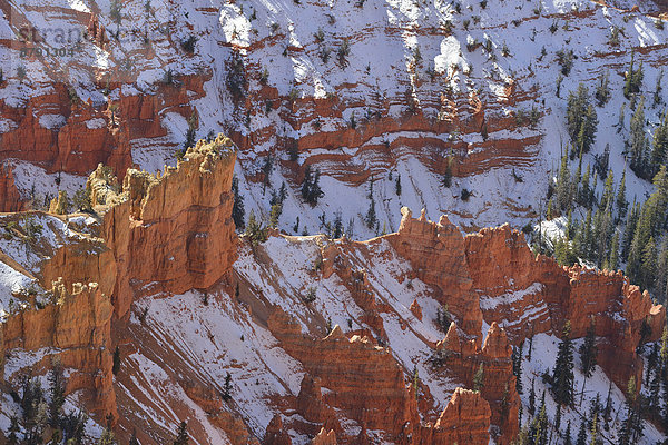 Vereinigte Staaten von Amerika  USA  Amerika  Landschaft  niemand  Natur  Süden  Schlucht  Colorado Plateau  Erosion  National Monument  Utah