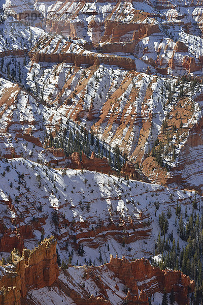 Vereinigte Staaten von Amerika  USA  Amerika  Landschaft  niemand  Natur  Süden  Schlucht  Colorado Plateau  Erosion  National Monument  Utah