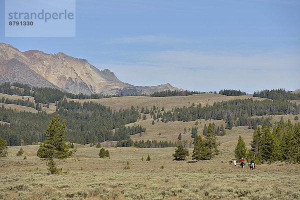 Vereinigte Staaten von Amerika  USA  Nationalpark  Amerika  Landschaft  fahren  Natur  Yellowstone Nationalpark  UNESCO-Welterbe  Wyoming