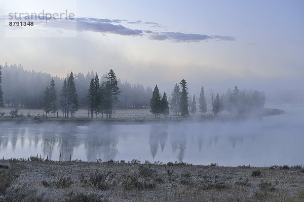 Vereinigte Staaten von Amerika  USA  Nationalpark  Amerika  Morgen  Landschaft  Dunst  niemand  Morgendämmerung  Natur  Yellowstone Nationalpark  UNESCO-Welterbe  Wyoming