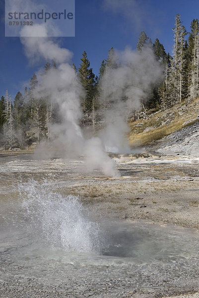 Vereinigte Staaten von Amerika  USA  Nationalpark  Amerika  Geysir  Wasserdampf  Natur  Vulkan  Wärme  Yellowstone Nationalpark  UNESCO-Welterbe  Rocky Mountains  Wyoming