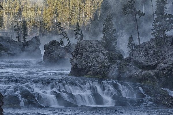 Vereinigte Staaten von Amerika  USA  Nationalpark  Wasser  Amerika  fallen  fallend  fällt  Landschaft  Fluss  Yellowstone Nationalpark  UNESCO-Welterbe  Rocky Mountains  Wyoming