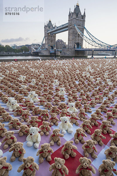 Bär  zeigen  London  Hauptstadt  Brücke  Hintergrund  Teddy  Teddybär  Themse  London Borough of Southwark  England